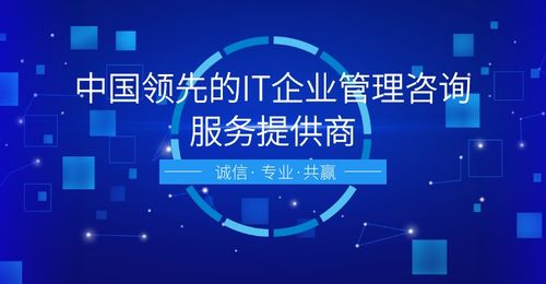 信息系統建設與服務體系評估 網絡融資信息咨詢的核心價值