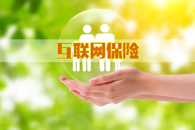 互聯(lián)網(wǎng)保險(xiǎn)與網(wǎng)絡(luò)融資信息咨詢服務(wù)的融合與發(fā)展