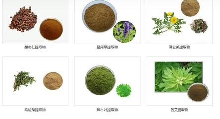 靈芝水提物植物提取物原料粉末 自然饋贈的健康之選