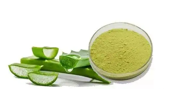 探索皮膚衛士蘆薈苦素，揭開天然護膚新革命